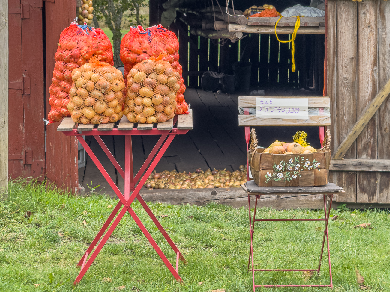 Ab ca. Kallaste beginnt die Zwiebelstraße
