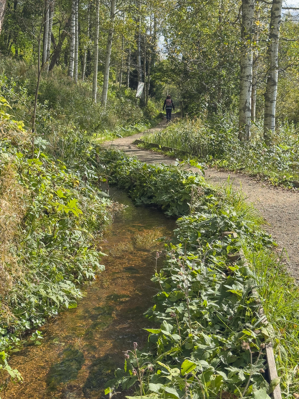 Wanderweg am R&otilde;uge J&otilde;gi (R&otilde;uge Bach)