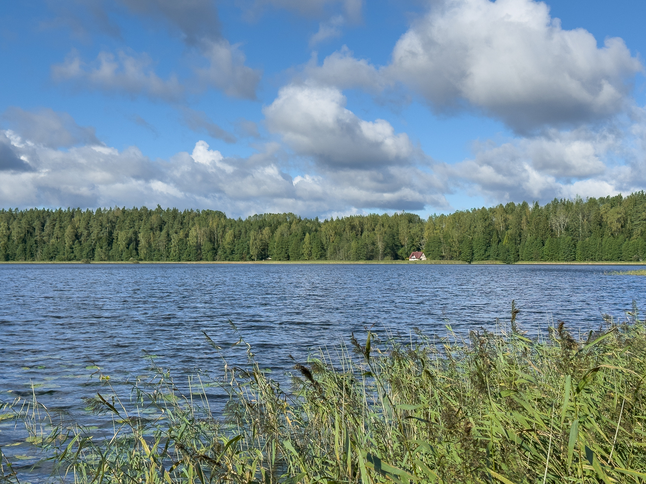Zur&uuml;ck am &Auml;hij&auml;rv