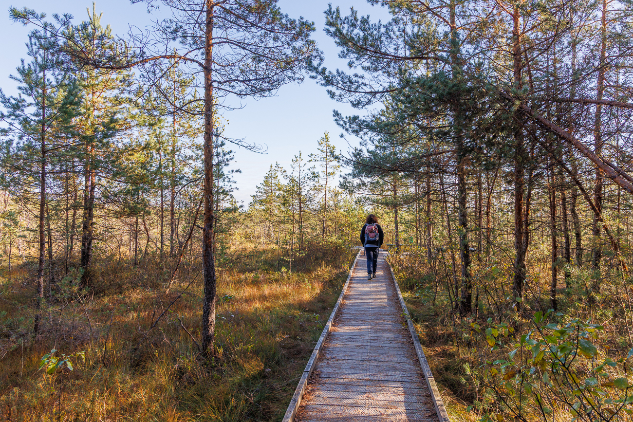 Und schon wieder auf dem Holzweg ;-)