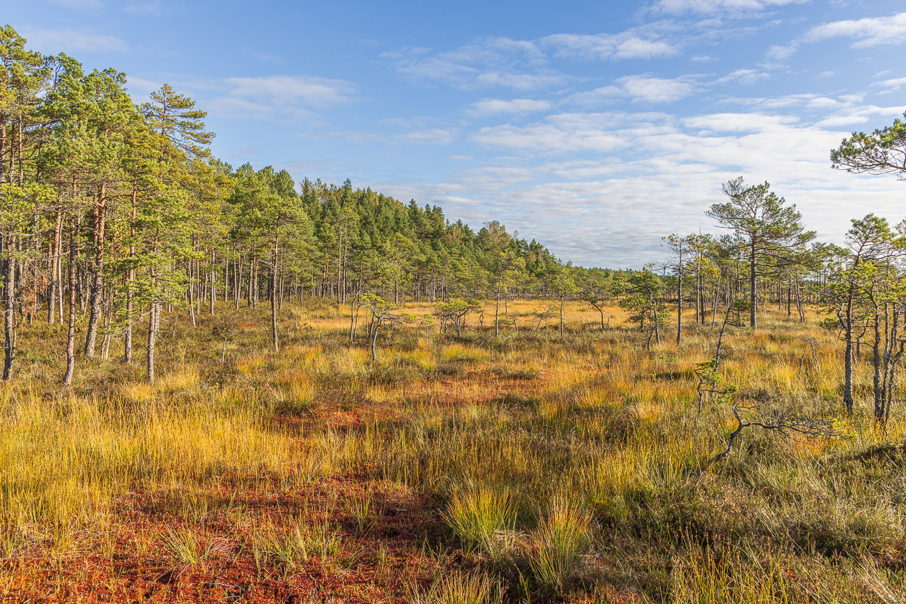 Auf einer Seite des Himmels tauchen einige Wolken auf