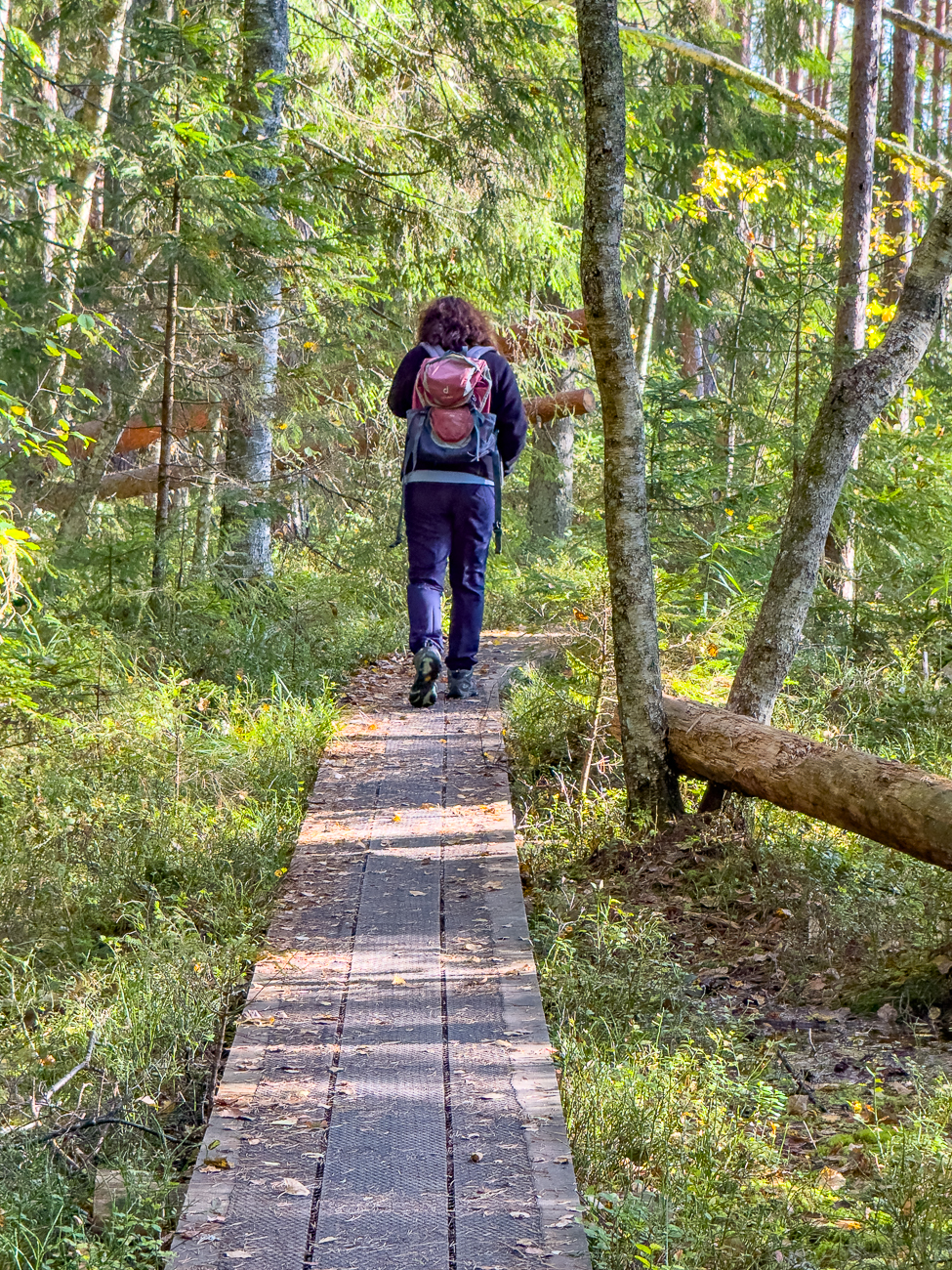 Auf dem Holzweg zum n&auml;chsten ...