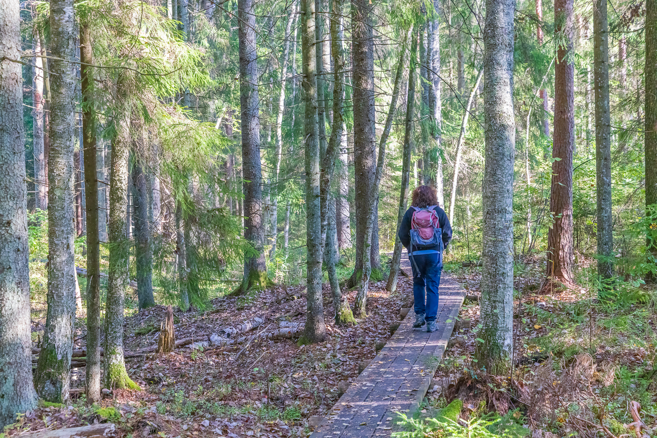 Es geht weiter durch den Wald