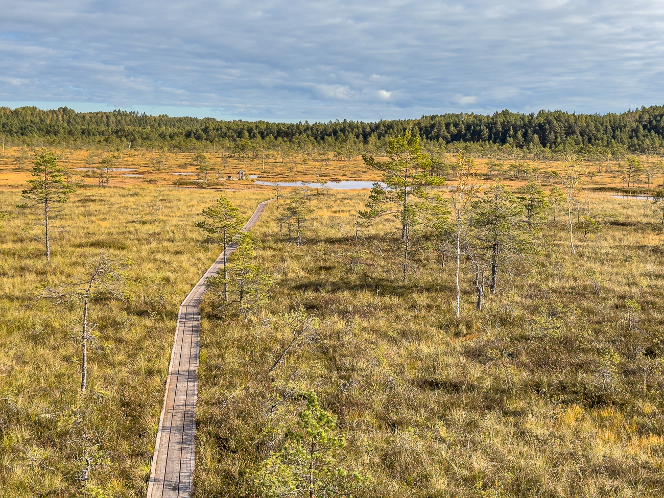 Blick vom Aussichtsturm