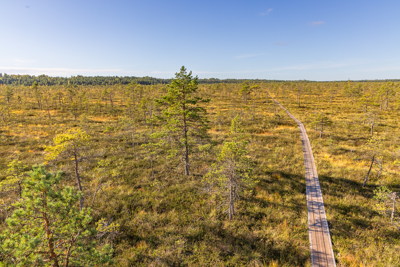 Blick vom Aussichtsturm
