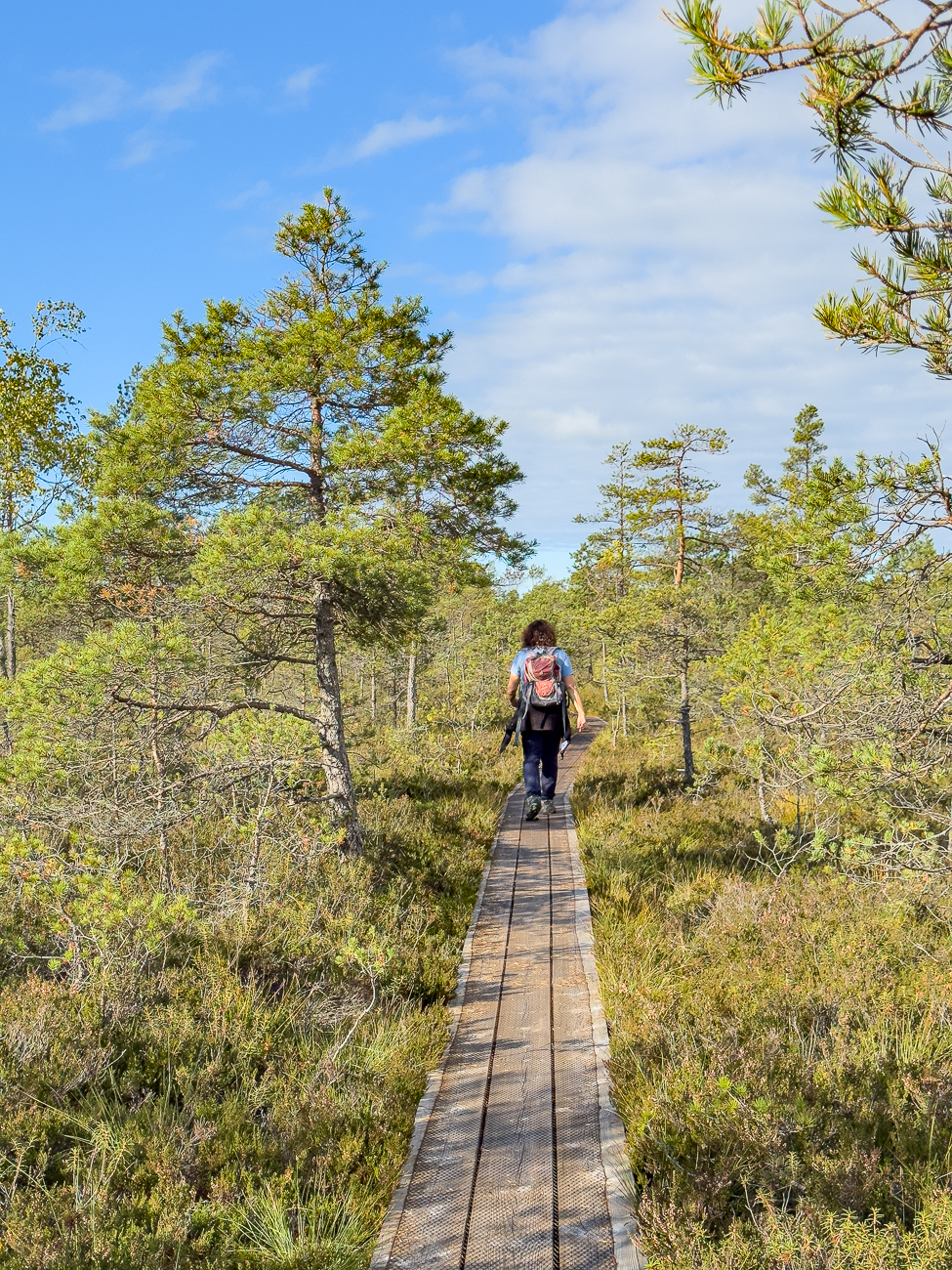 Auf dem R&uuml;ckweg zum Parkplatz