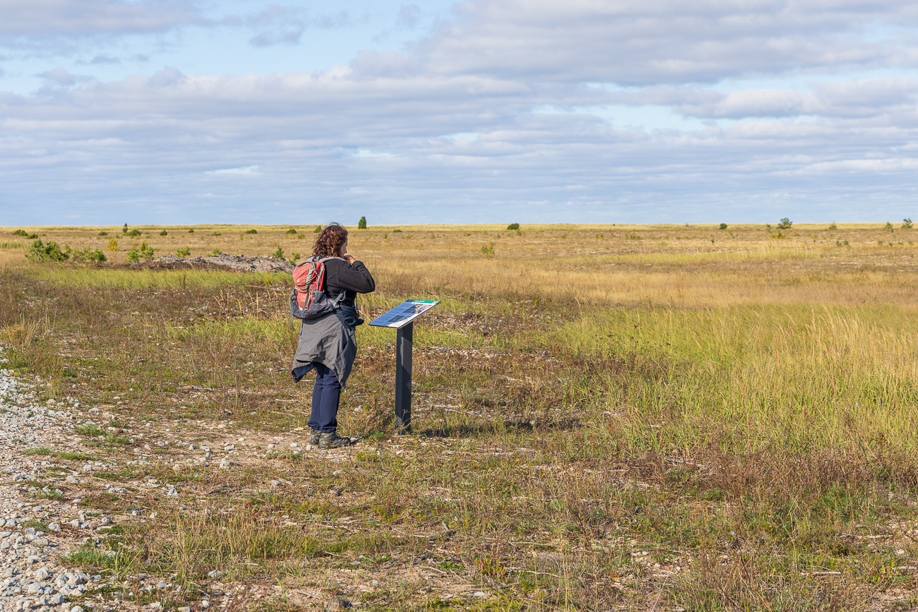 Infotafel zur Flora und Fauna im Nationalpark