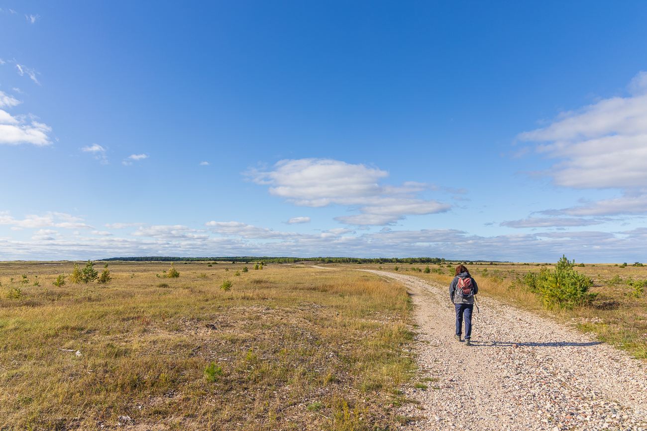 Schotterweg auf der Halbinsel Harilaiu