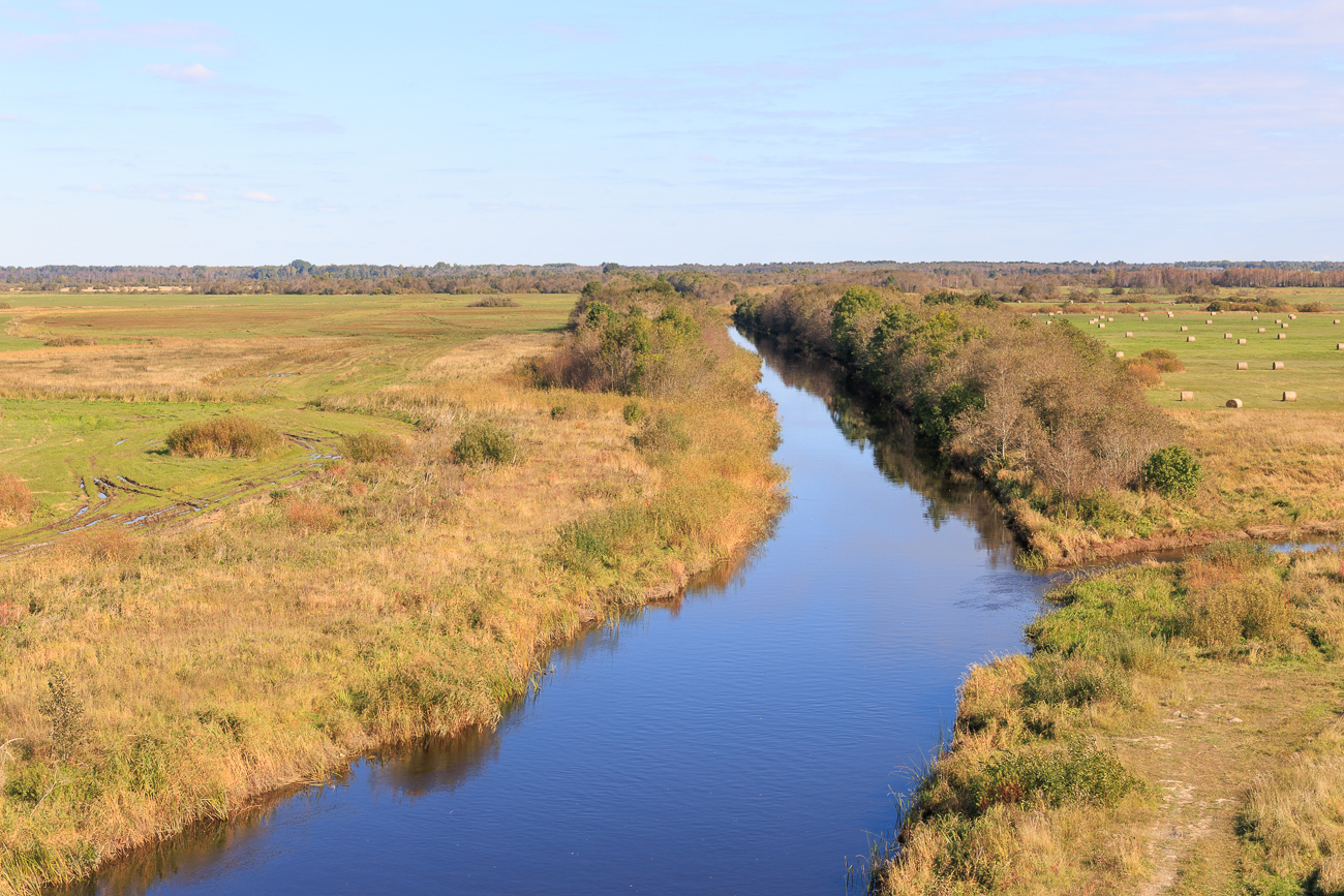 Der Kasari J&otilde;gi vom Turm aus gesehen