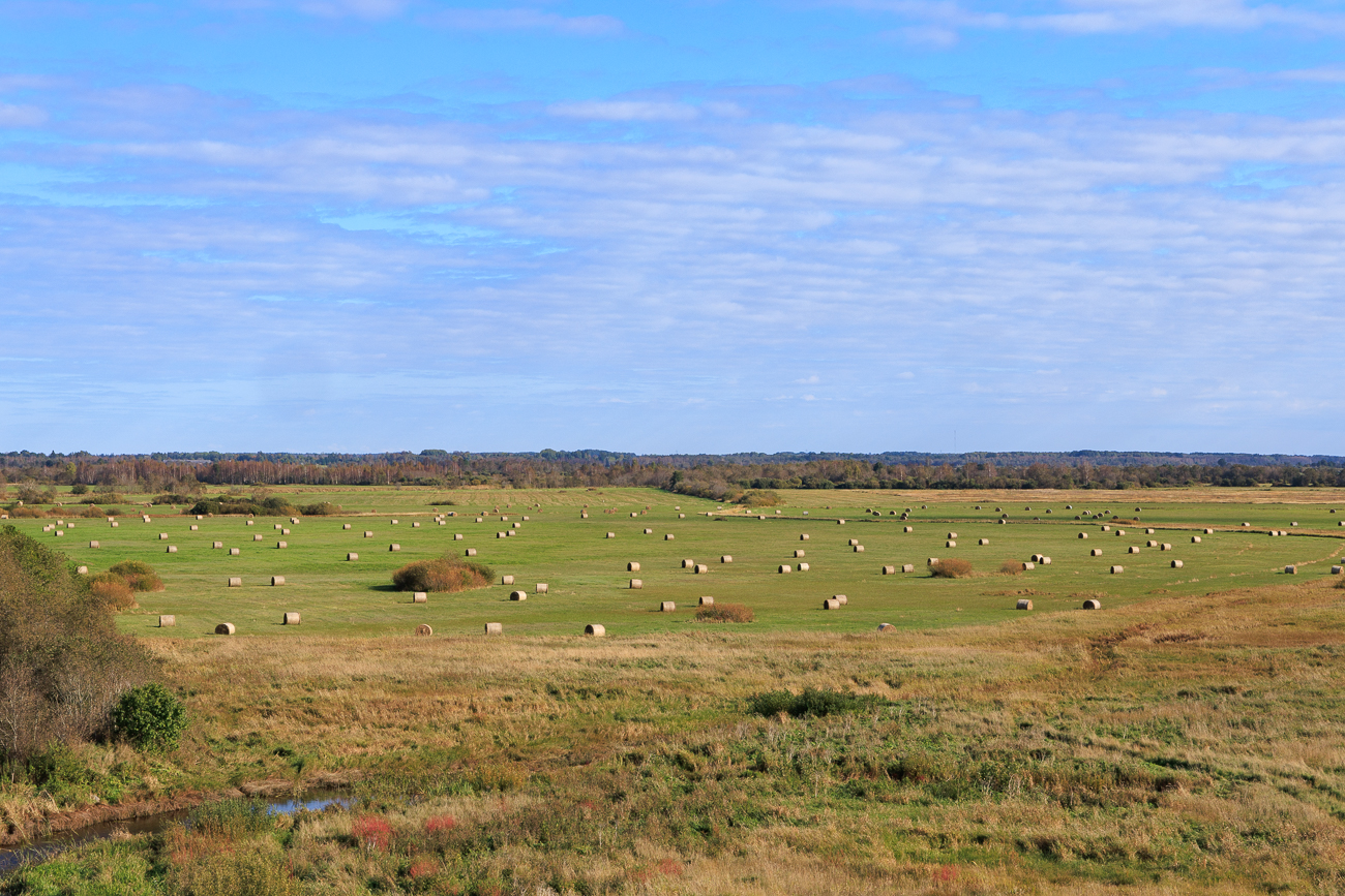 Die umgebende Landschaft vom Turm aus gesehen