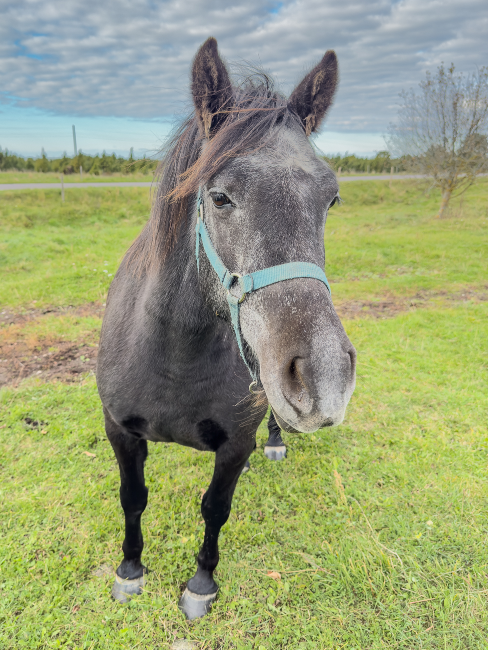 ... und l&auml;sst sich geduldig ablichten