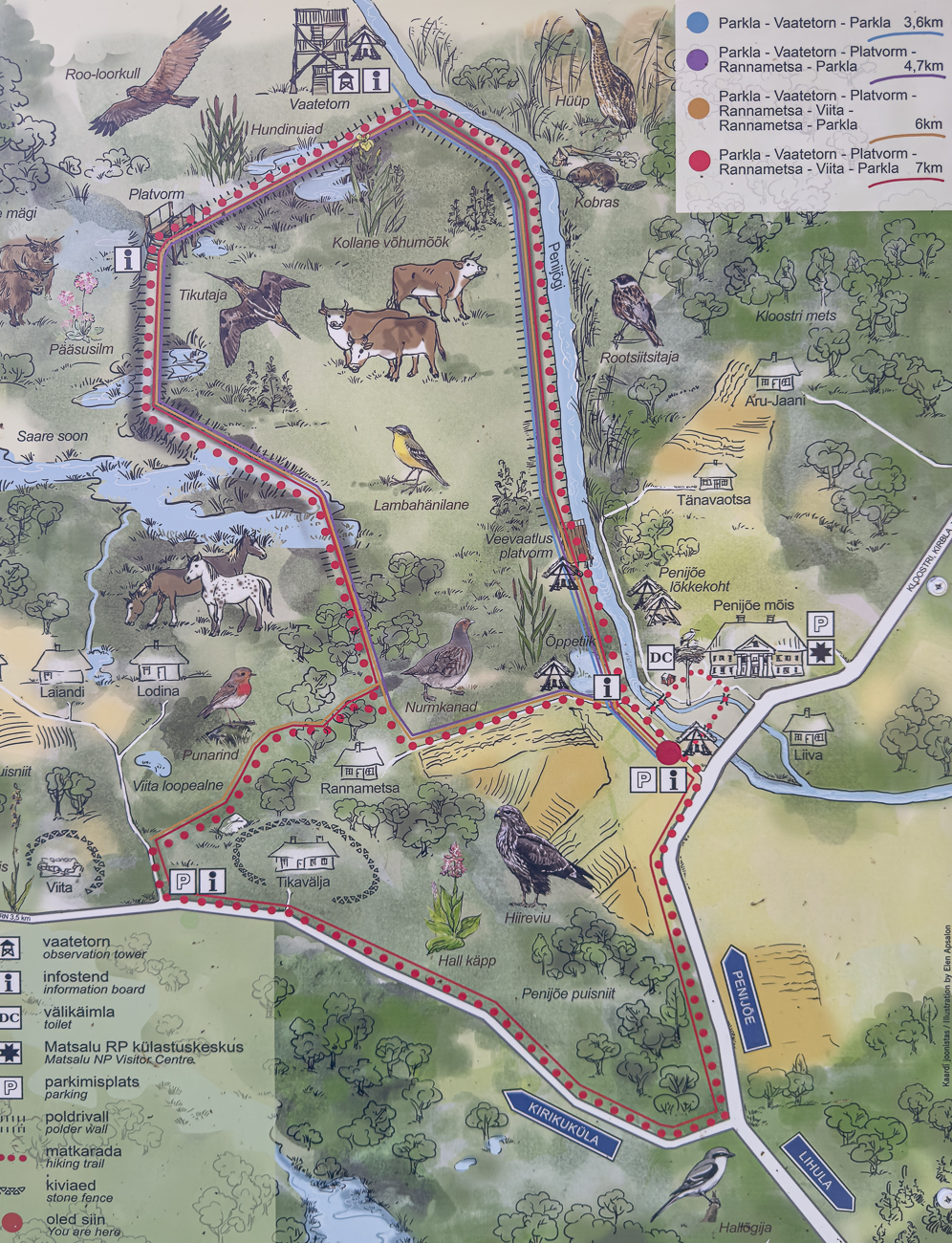 Die obere gepunktete Linie wollen wir im Matsalu Nationalpark erwandern