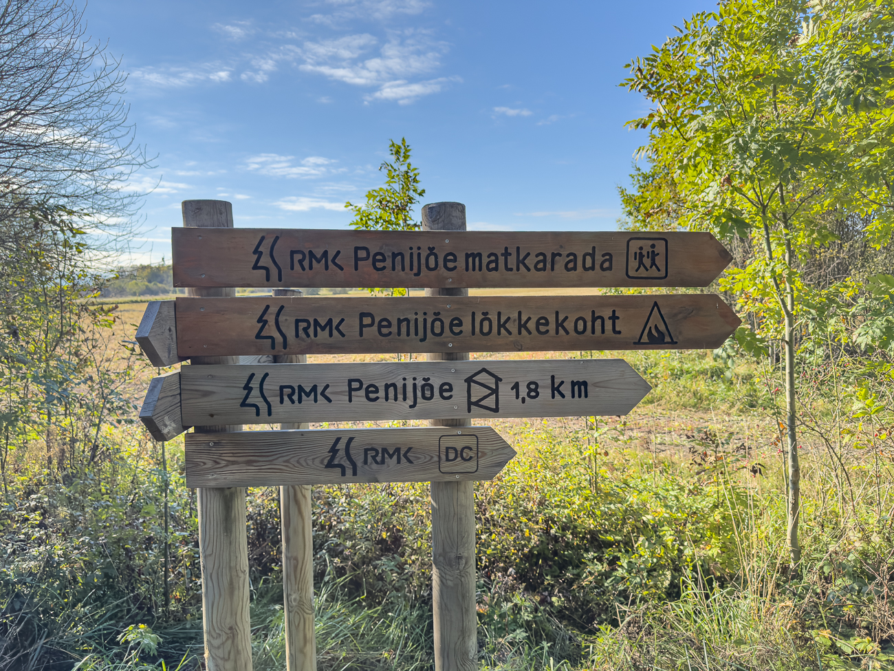 Und schon geht es los Richtung Aussichtsturm