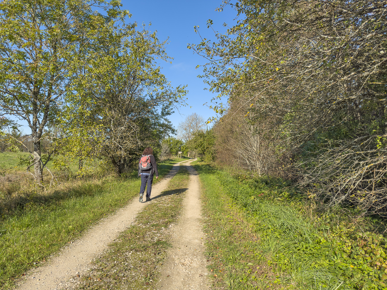 Zun&auml;chst auf einem breiten Weg ...