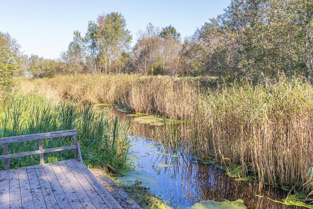 ... entlang des Penij&otilde;gi