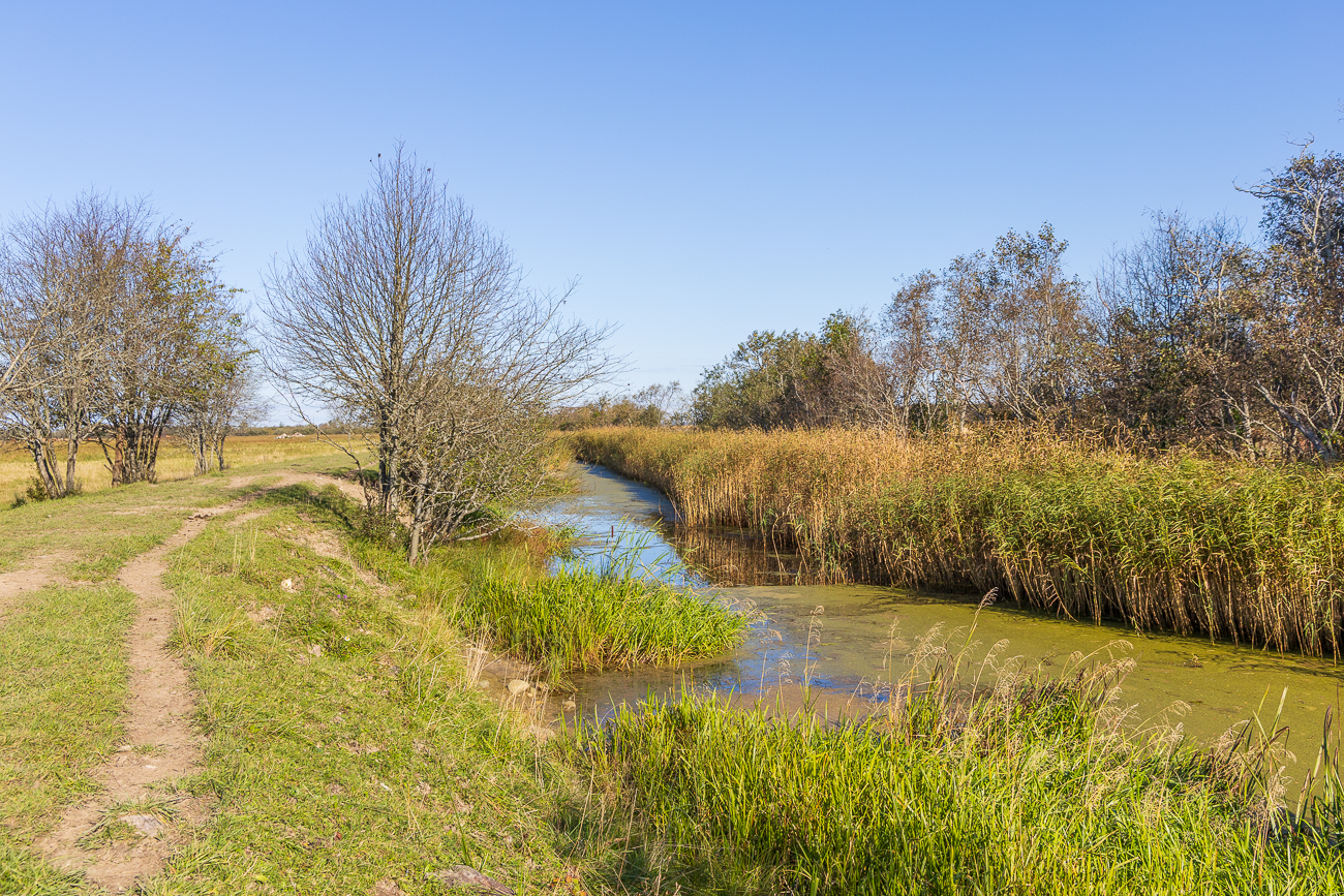 Das Fl&uuml;sschen begleitet uns auch, als es &uuml;ber eine Kuhweide weiter geht