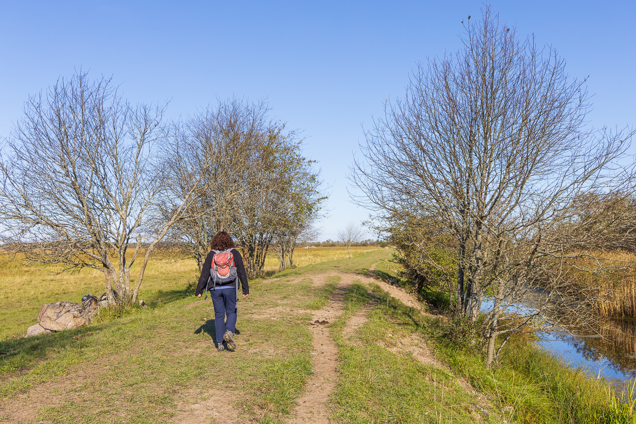 Auf dem Kuhweidenweg