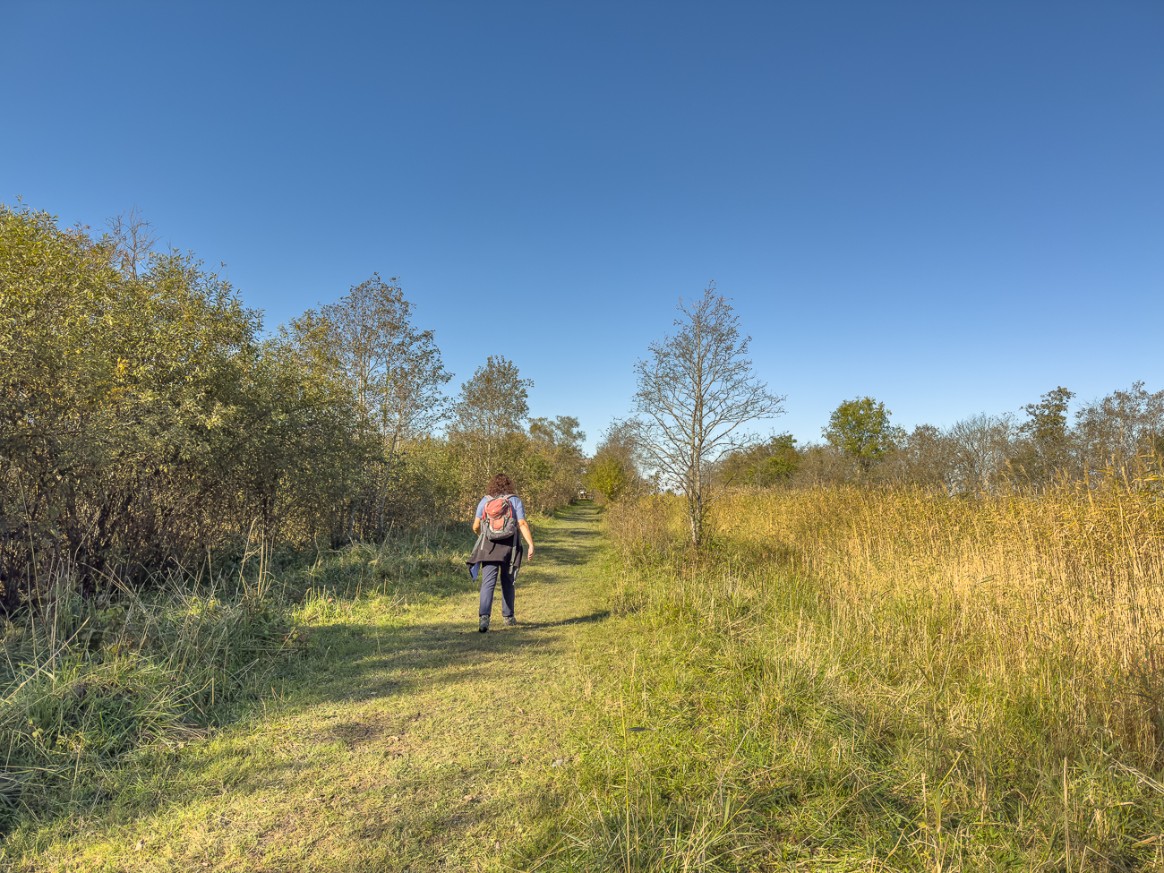 Wiesenweg zum Aussichtsturm