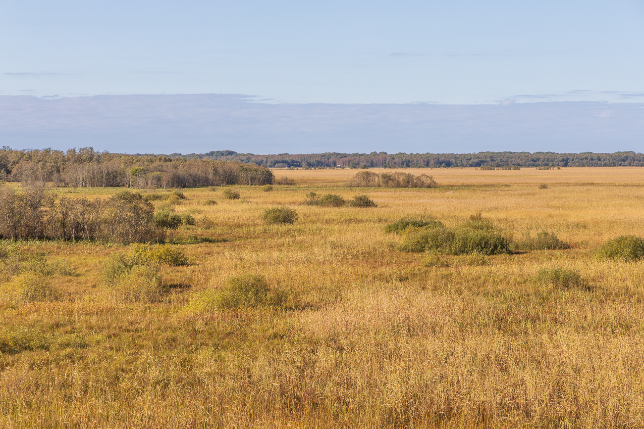 Blick auf die umgebende Landschaft