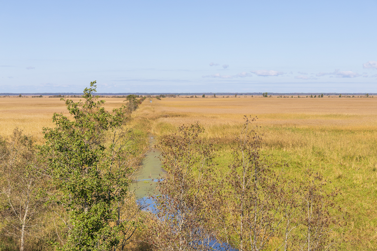 Blick auf die umgebende Landschaft