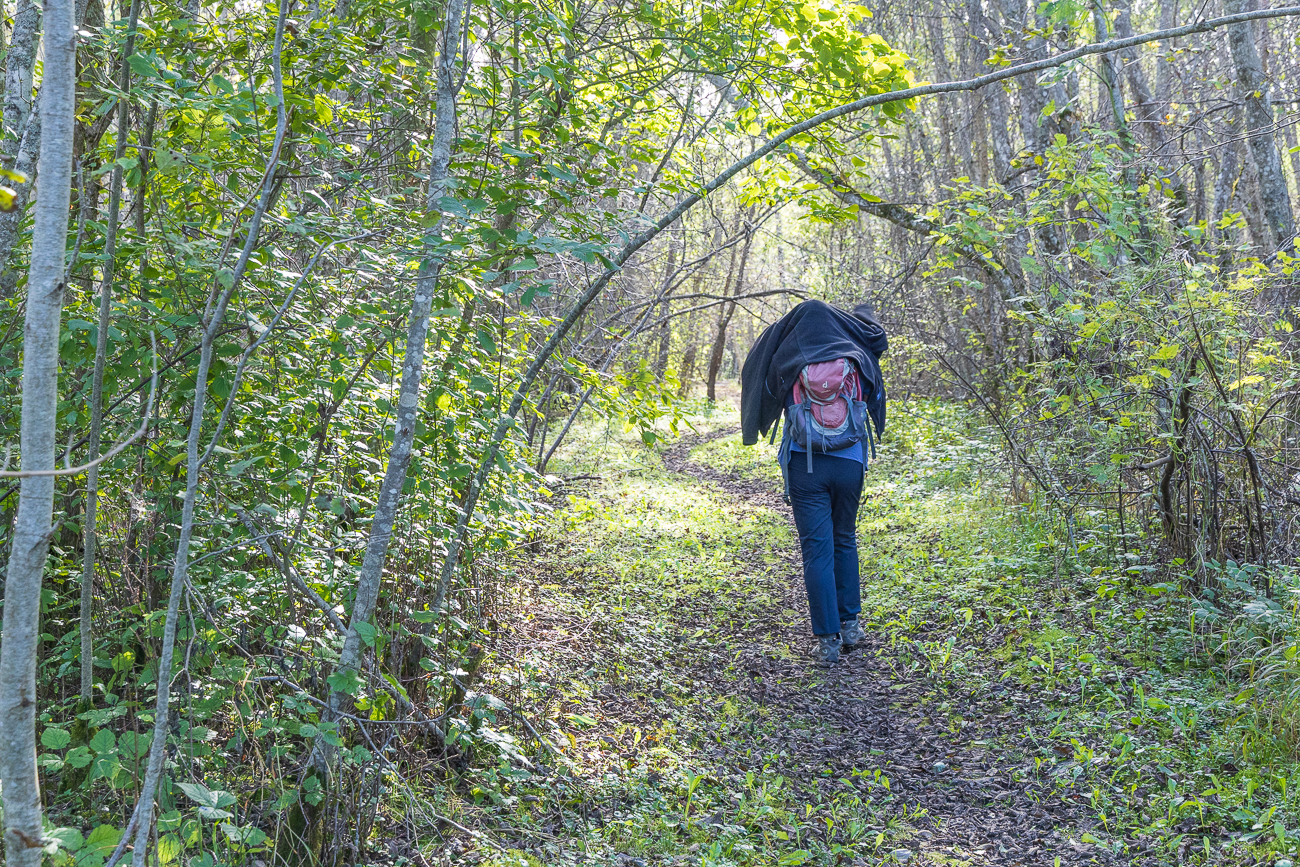 Schutz vor den M&uuml;cken im modrigen Wald