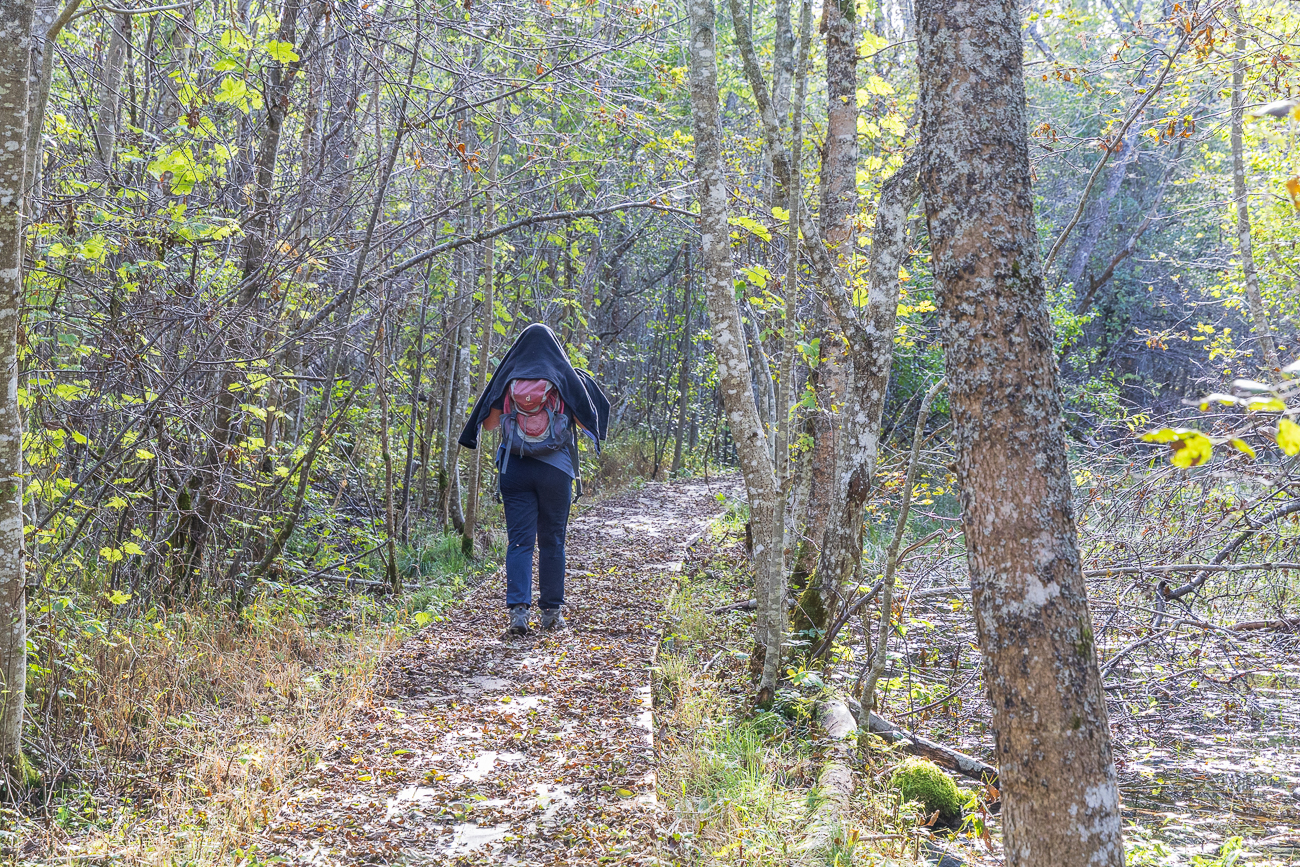 An den besonders feuchten Stellen geht es auf Holzplanken weiter