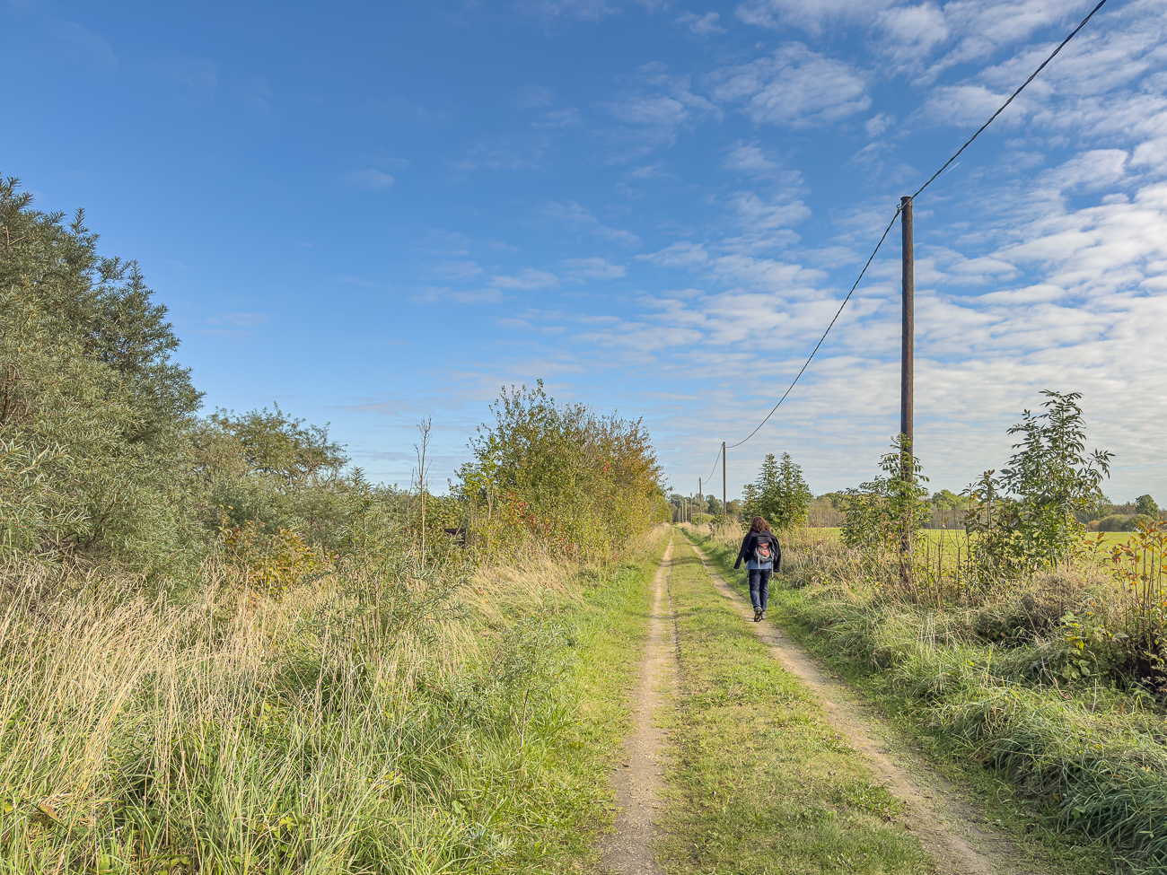 Nun wieder m&uuml;ckenfrei laufen wir dem Ziel entgegen