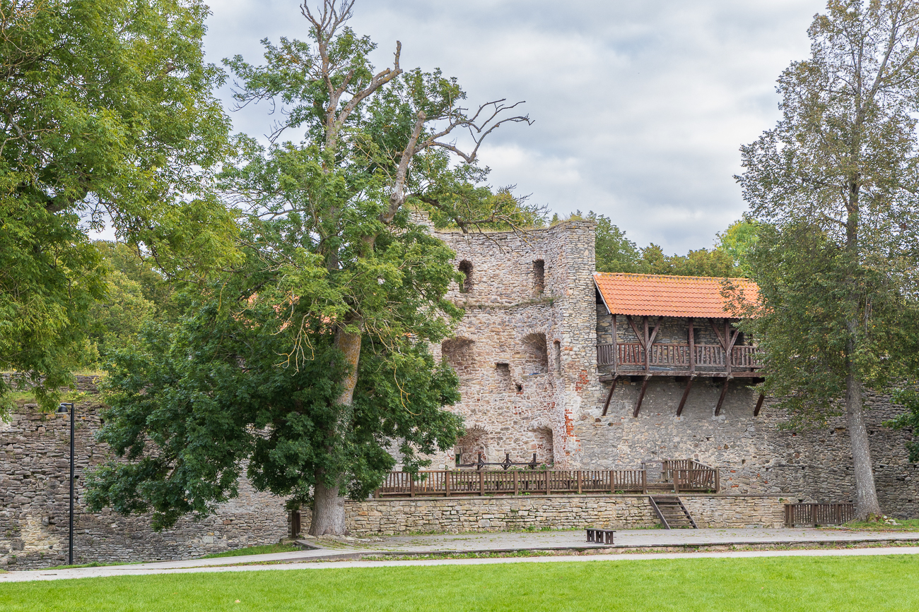 Mauerteile der Bischofsburg