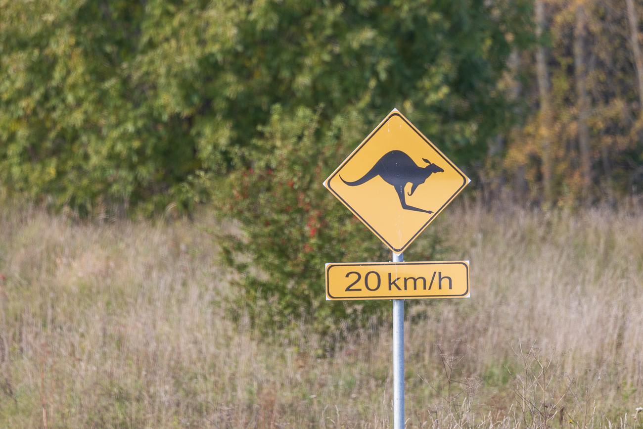 Ein ungew&ouml;hnliches Schild in Estland ;-)