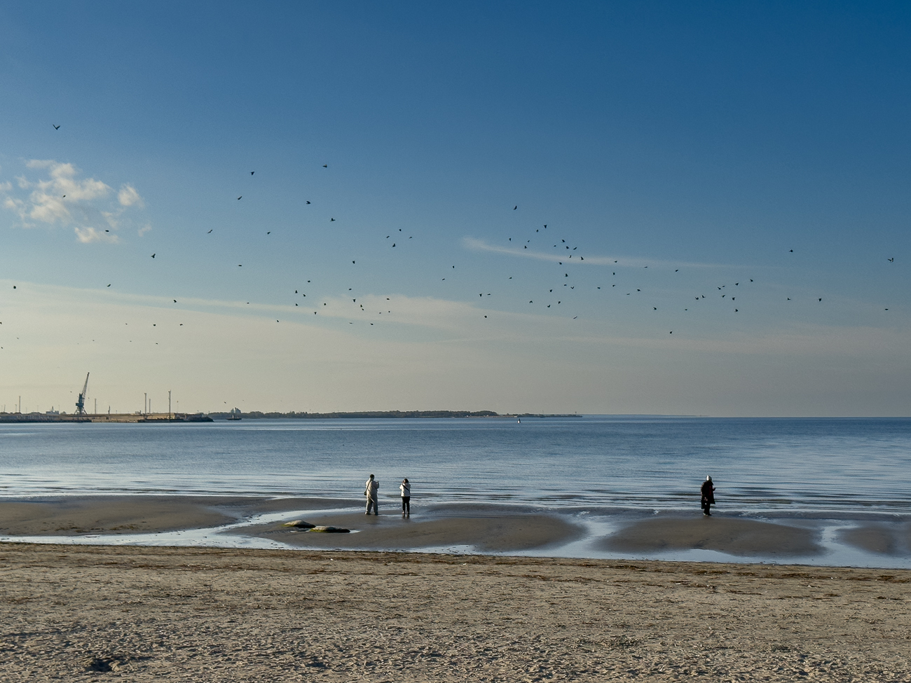 Am Strand von Tallinn