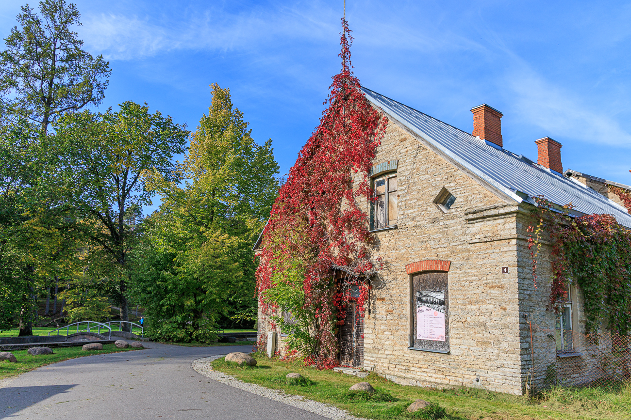 Farbenpr&auml;chtig bewachsene Hauswand am Parkplatz