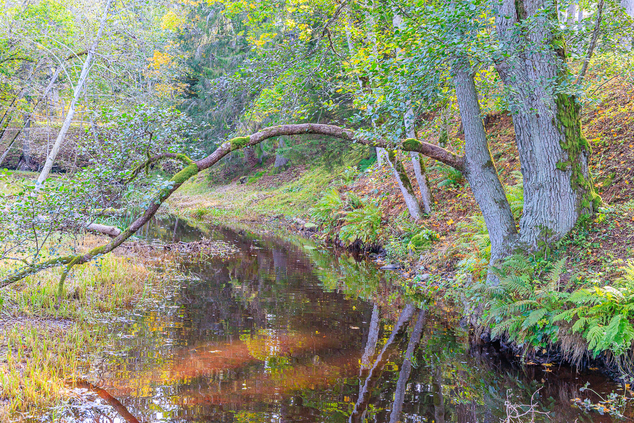 Malerischer Flusslauf