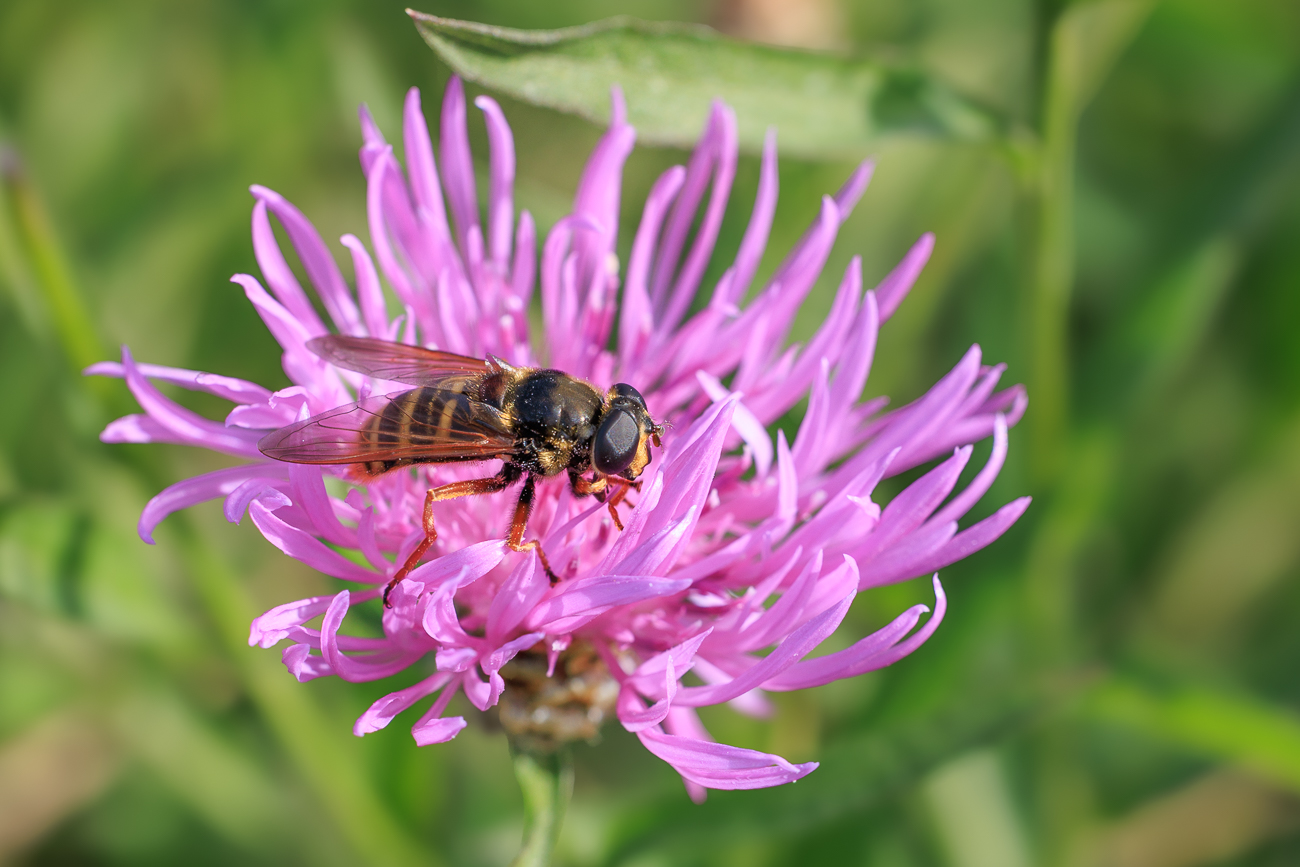 W&auml;hrend wir auf den Abschleppwagen warten ...