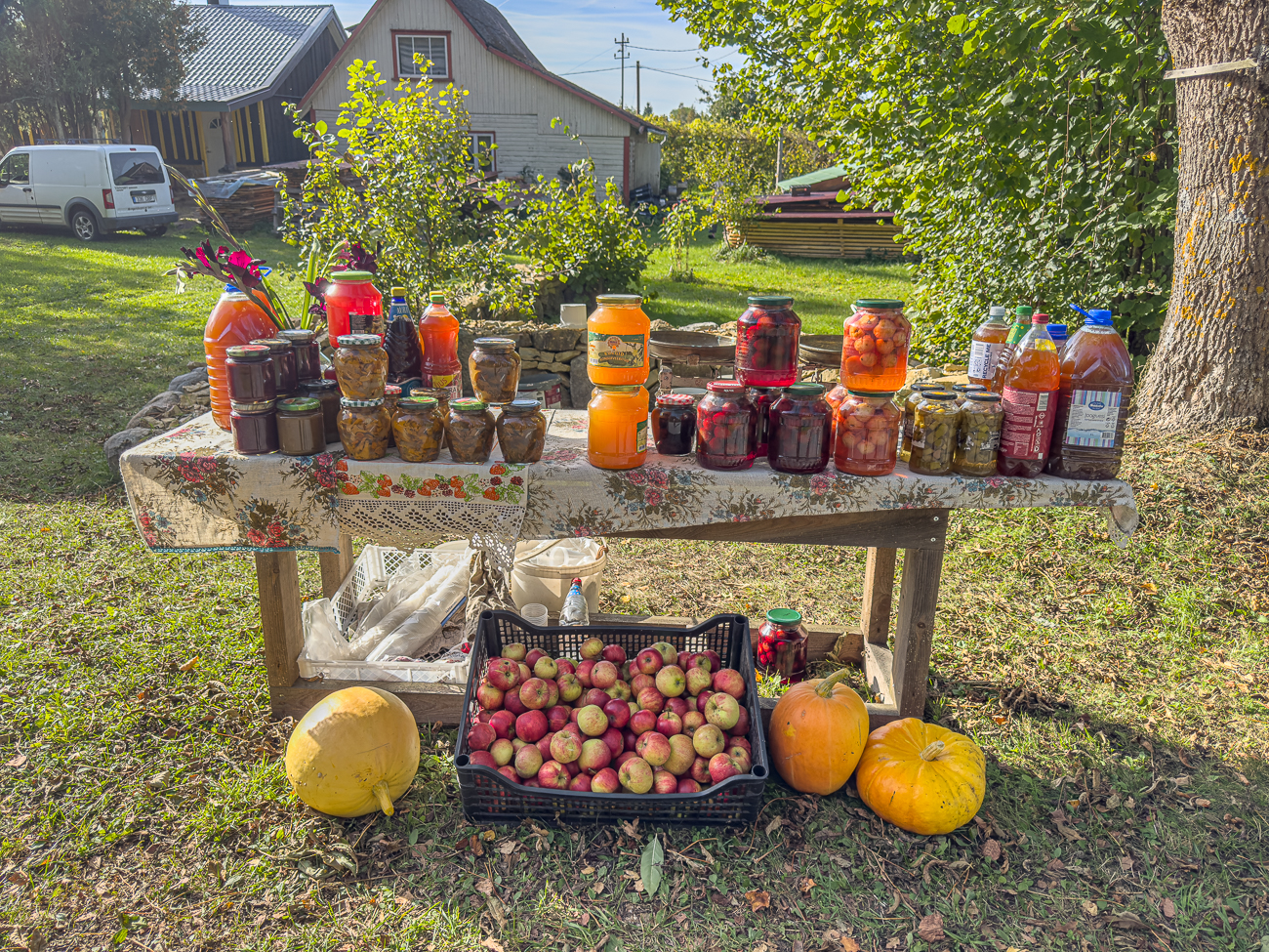 Hier sind wir endlich wieder unterwegs und finden an einer schönen Nebenstraße ...