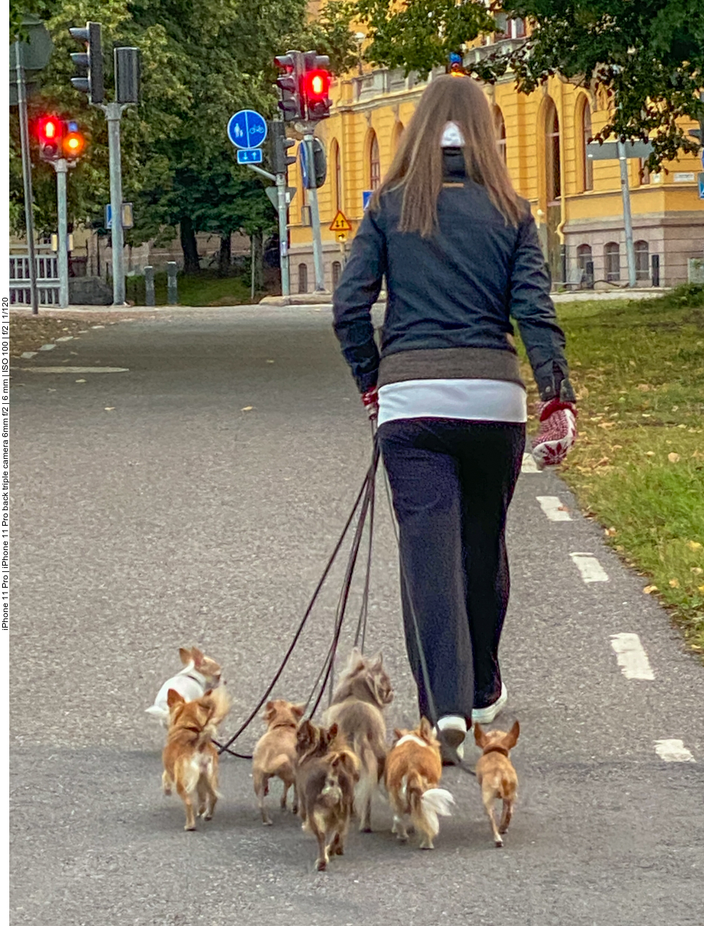 Ein großer Hund hätte es doch auch getan ;-)