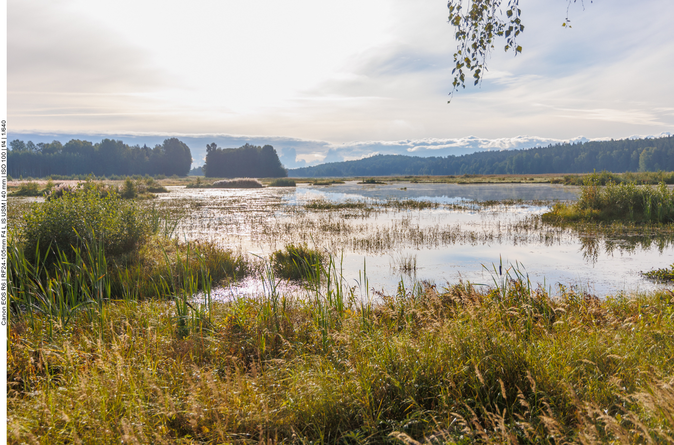 Kleines Naturschutzgebiet