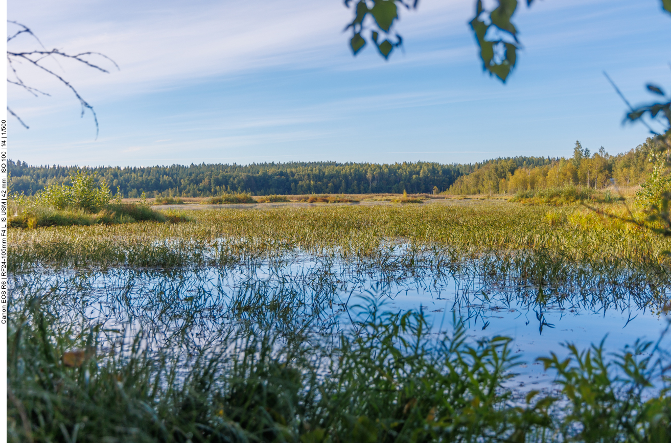Die Vögel sind bereits weggezogen ...