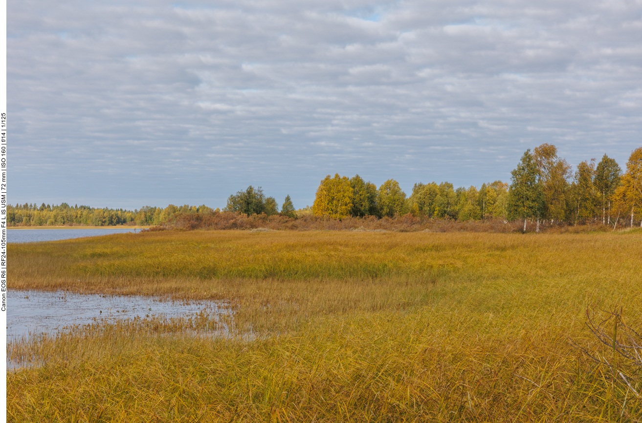 Moorlandschaften und Seen wechseln sich ab mit ...