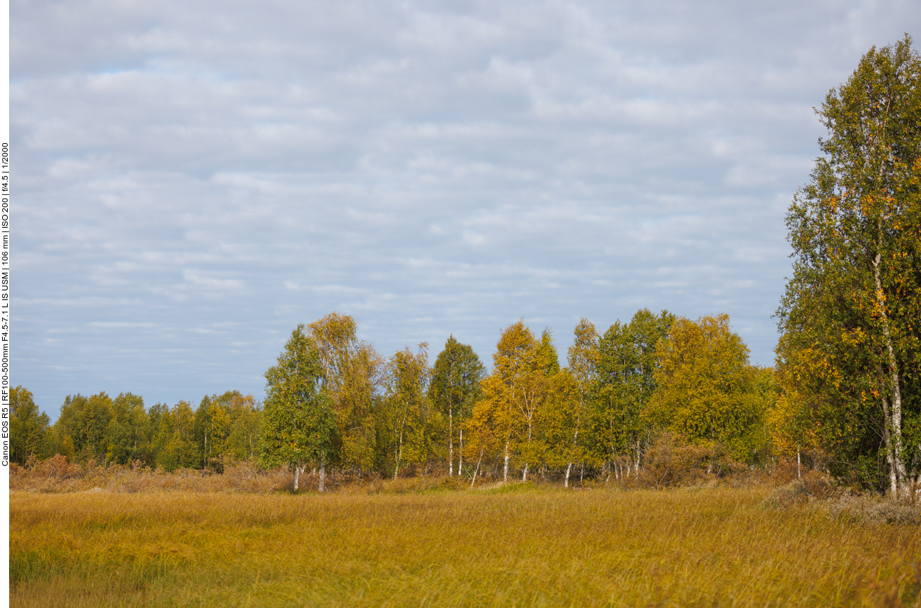 Zwischen den herbstlichen Farben ...