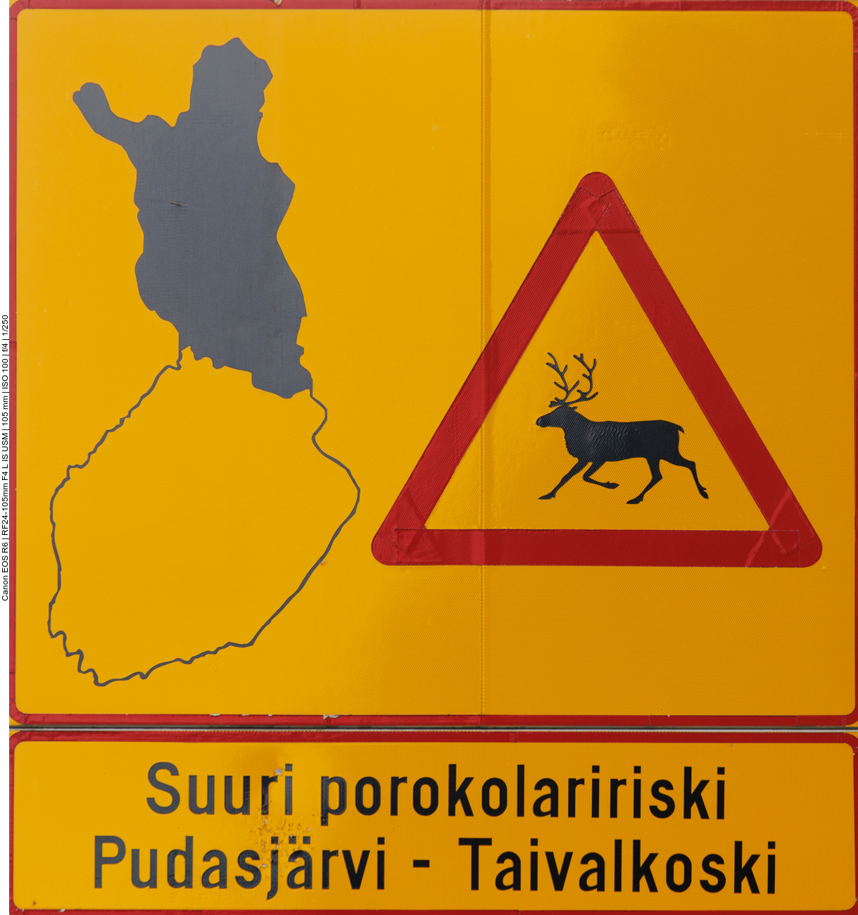 Bald nach Oulu erreichen wir das Land der Samen. Hier müssen wir besonders auf Rentiere achten