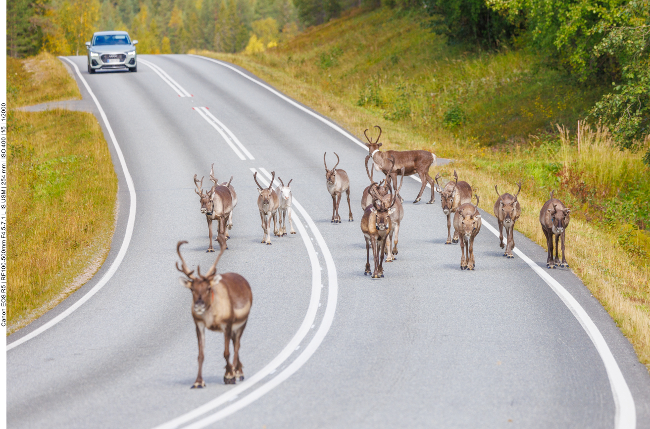 Finnland Vorbereitungen