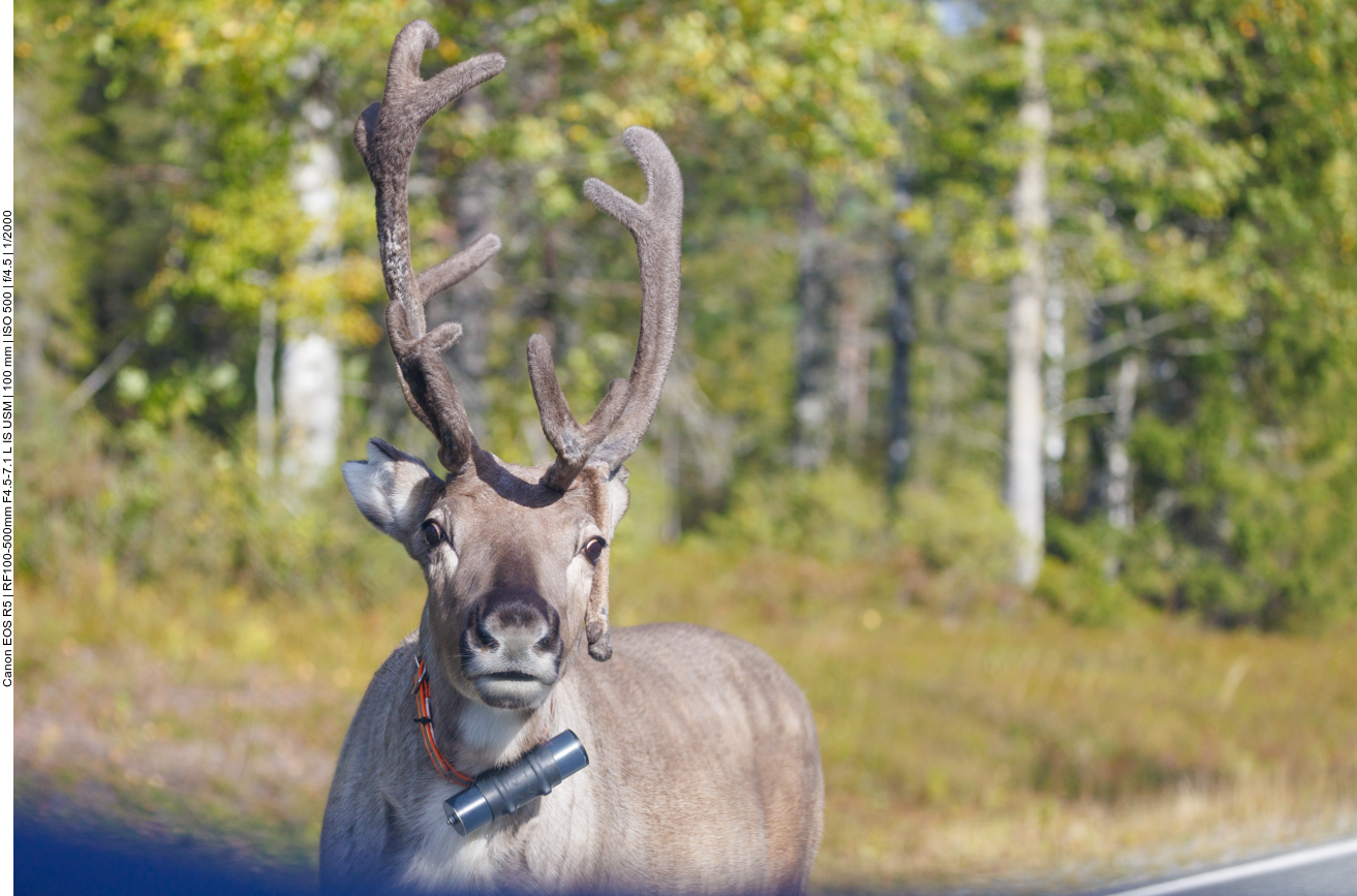 Wer sitzt denn da in der Blechdose?