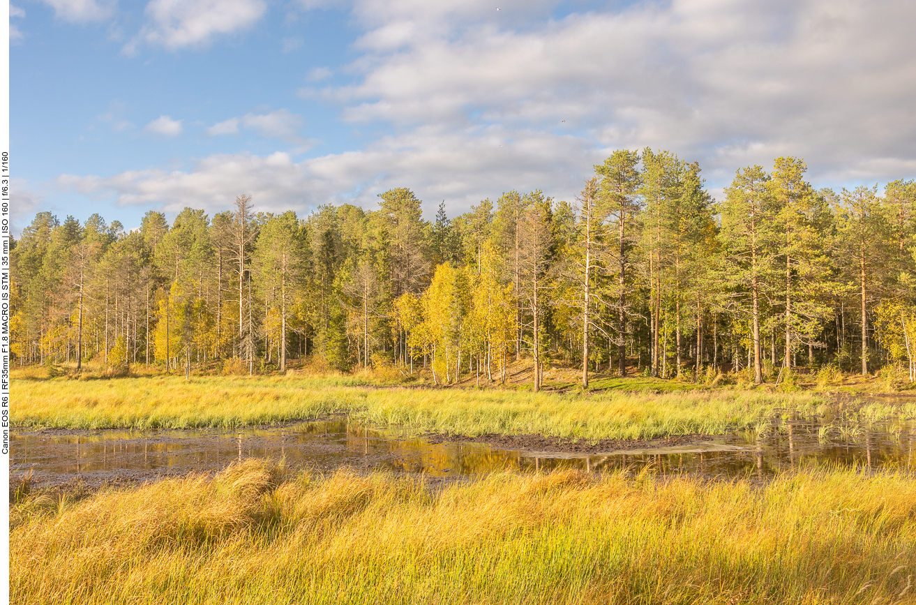 Blick aus dem Fenster