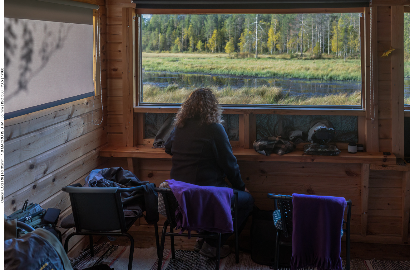 Unser Ansitz zur Bärenbeobachtung in Kuusamo