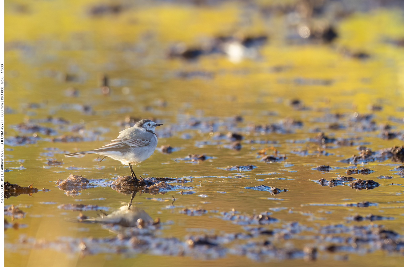 ... um ihren Hunger zu stillen