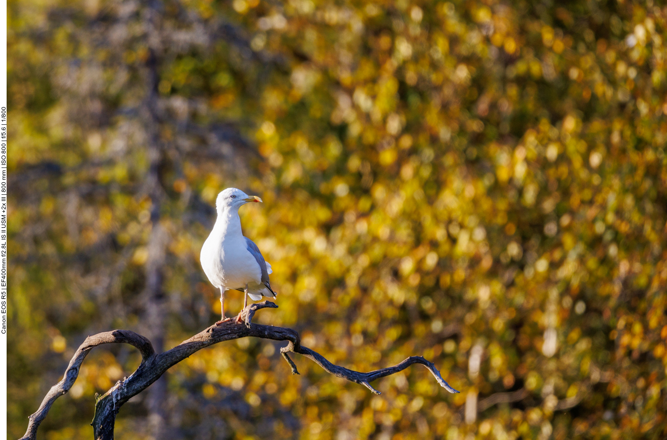 ... momentan aber noch relativ entspannt