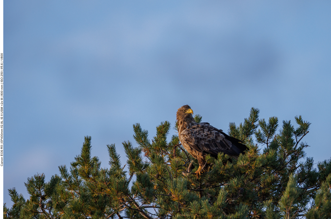 Als die Sonne weg ist ...