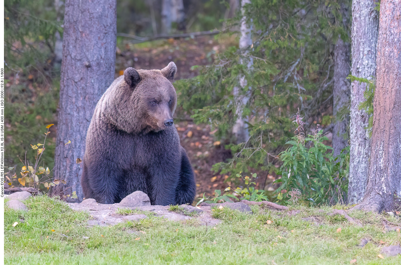 Ist da evtl. ein Konkurrent in der Nähe?