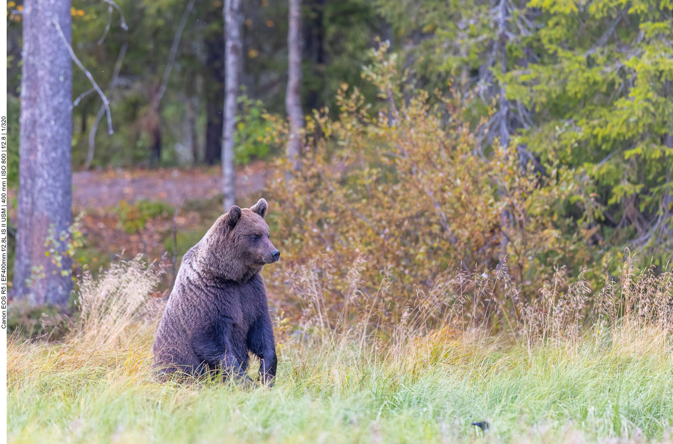 Da ist Abstand sicher besser