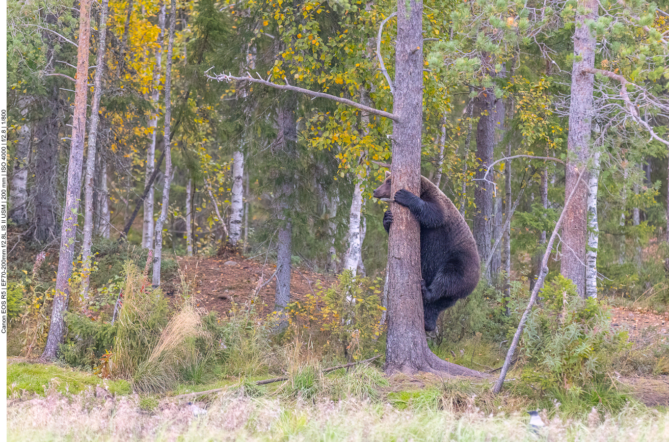 Dann klettern wir halt ein wenig herum